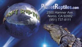 Planet Reptiles